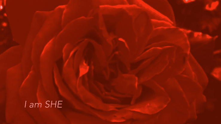 rosh zeeba